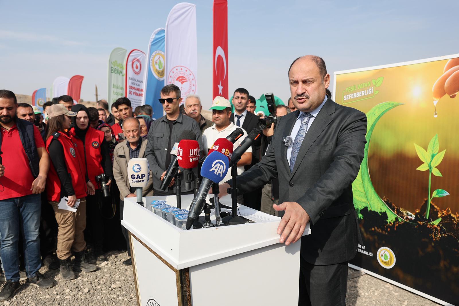 Binlerce fidan toprakla buluştu