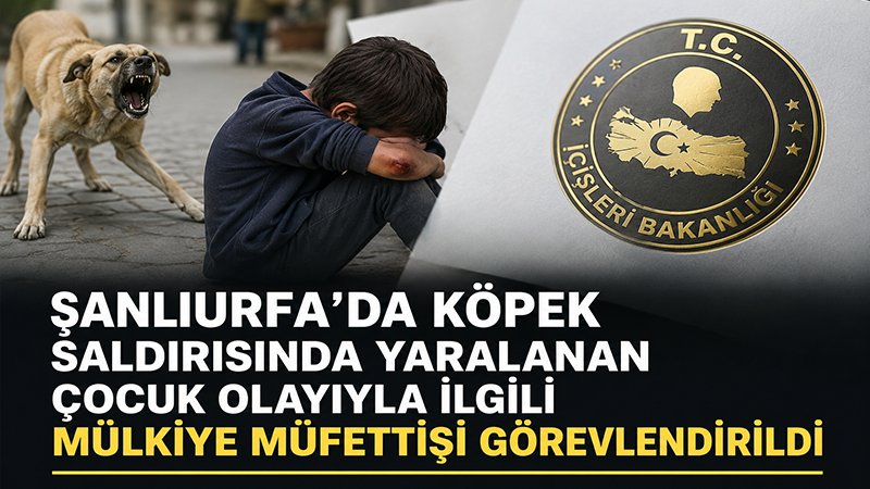 Şanlıurfa'da Köpek Saldırısına Müfettiş İncelemesi