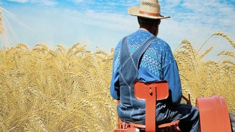 Şanlıurfalı Çiftçilere Destek Ödemesi Yarın Hesaplarda