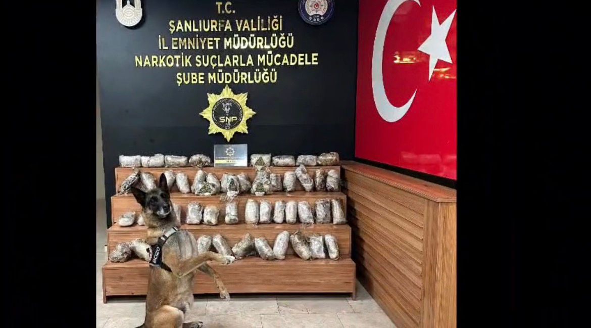 Şanlıurfa’da 17 Kilo Skunk Ele Geçirildi