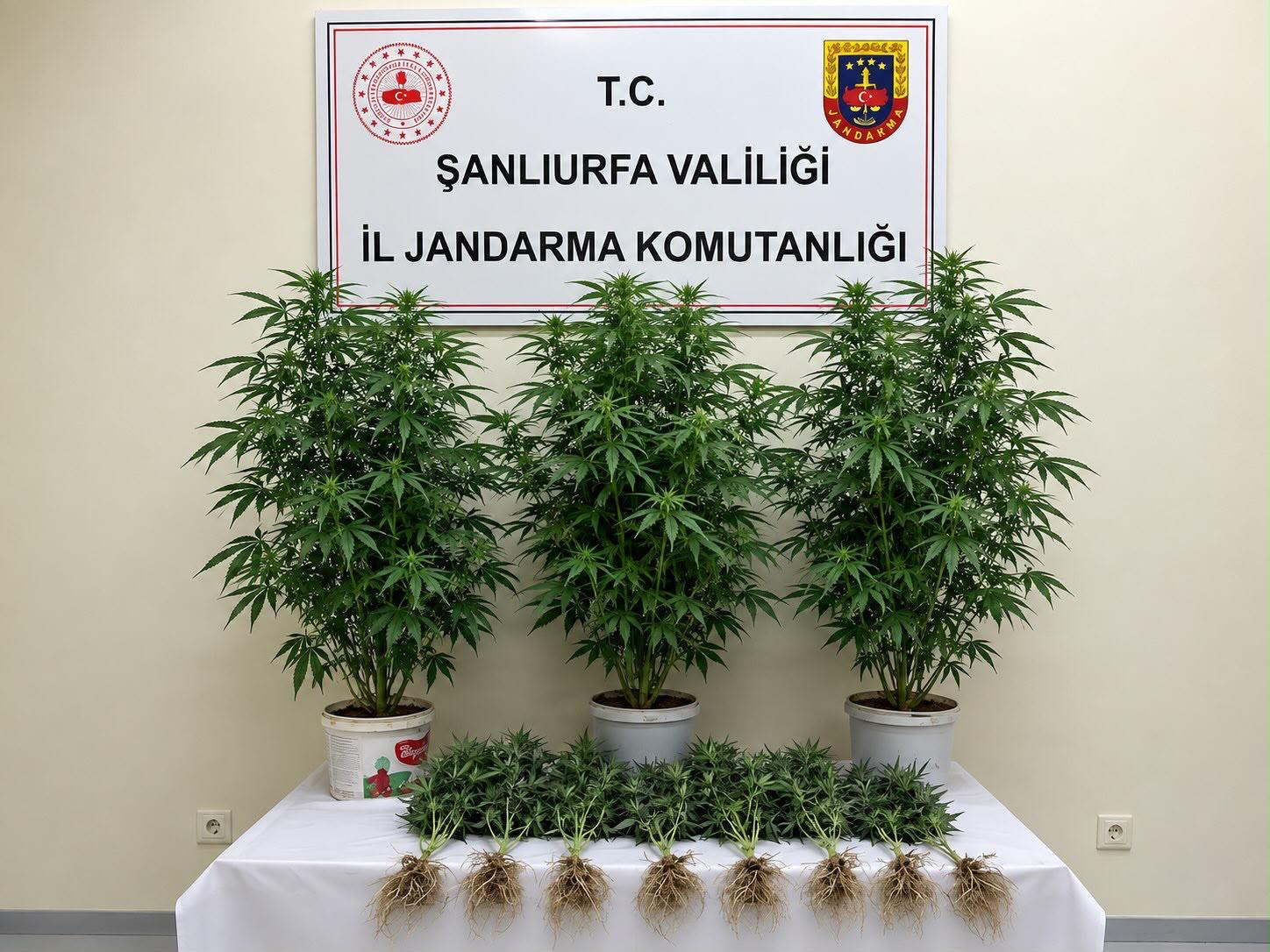 Şanlıurfa’da uyuşturucuya geçit yok: Bozova’da operasyon