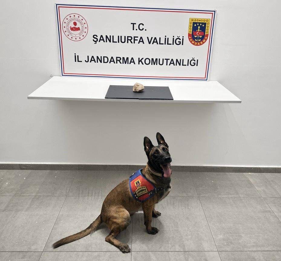 Şanlıurfa Jandarmasından dev narkotik operasyonu!