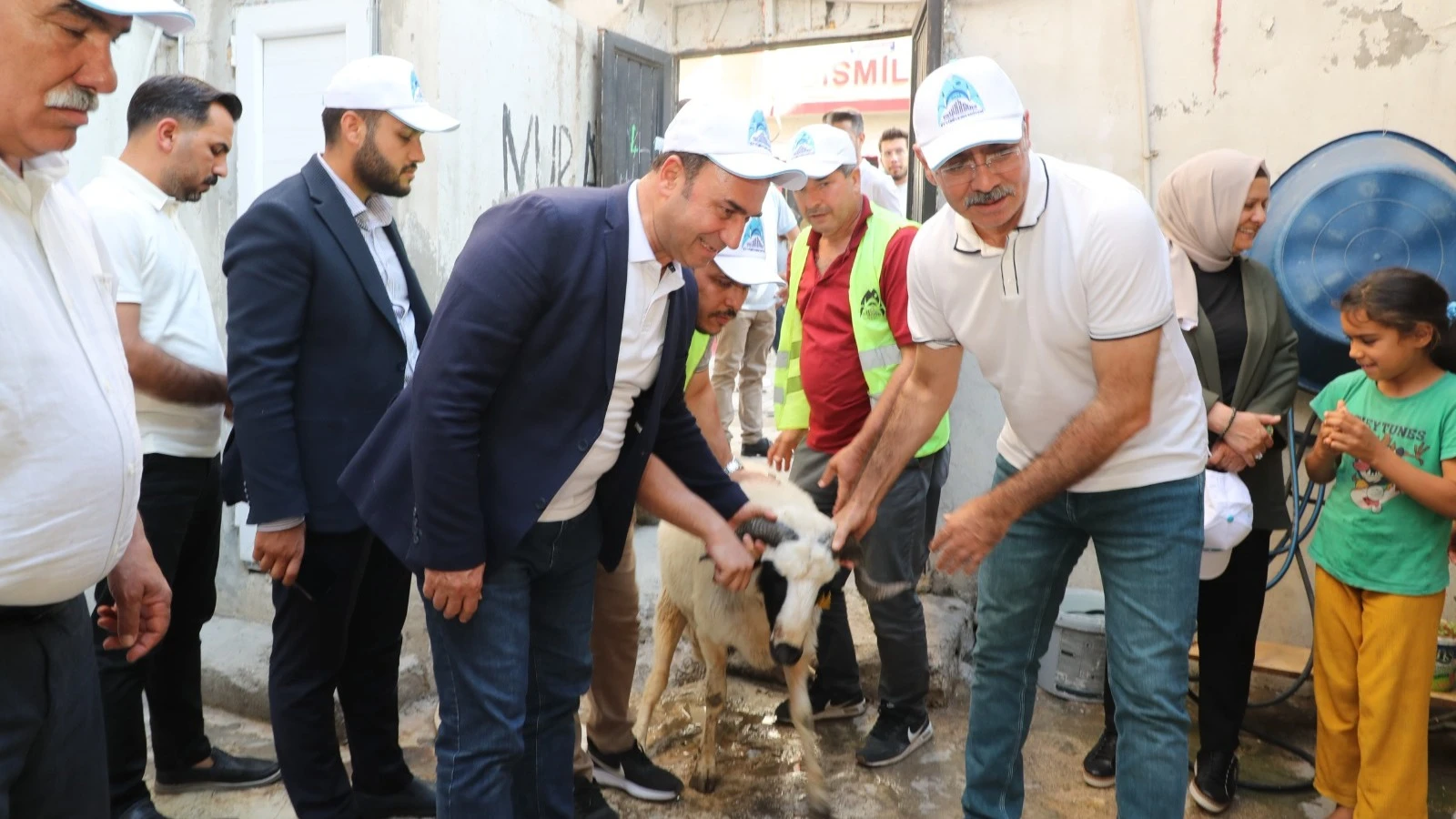 Yüzlerce yetim ailesine canlı kurbanlık dağıtıldı