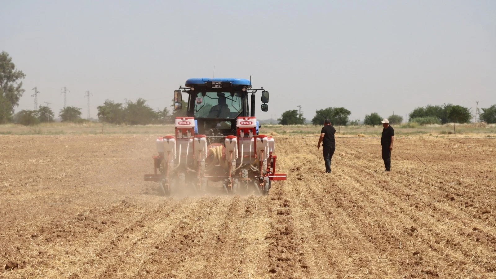 Urfa’da soya ekimiyle toprak verimliliğine katkı