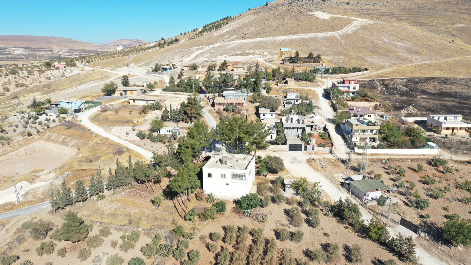 Bir garip yol hikayesi