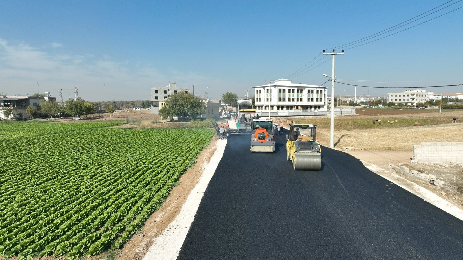 Ceylanpınar’da asfalt atağı devam ediyor