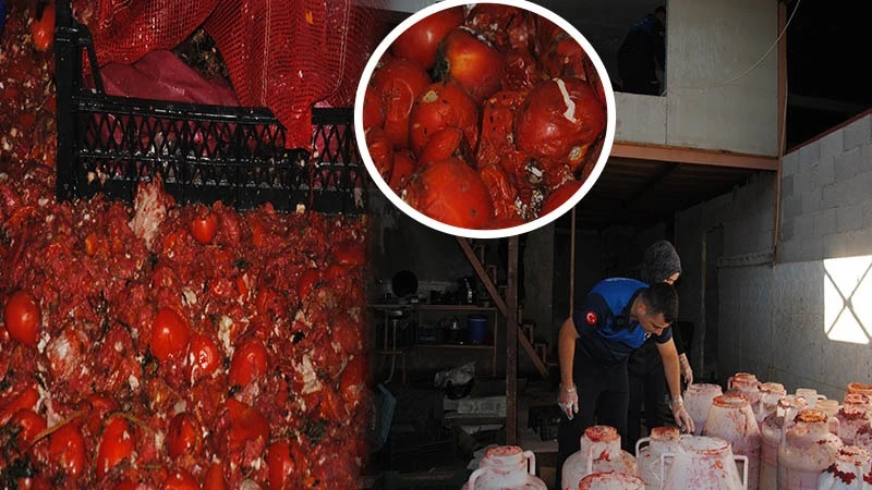 Şanlıurfa’da mide bulandıran manzara! Çürümüş domates, küflü salça ele geçirildi
