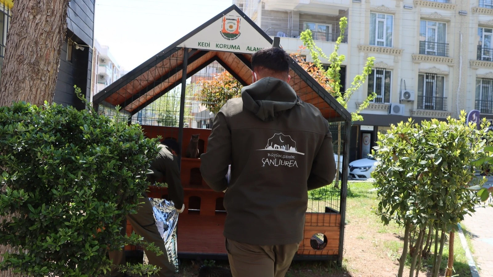 Büyükşehir Belediyesi’nden Sokak Kedileri İçin Örnek Proje