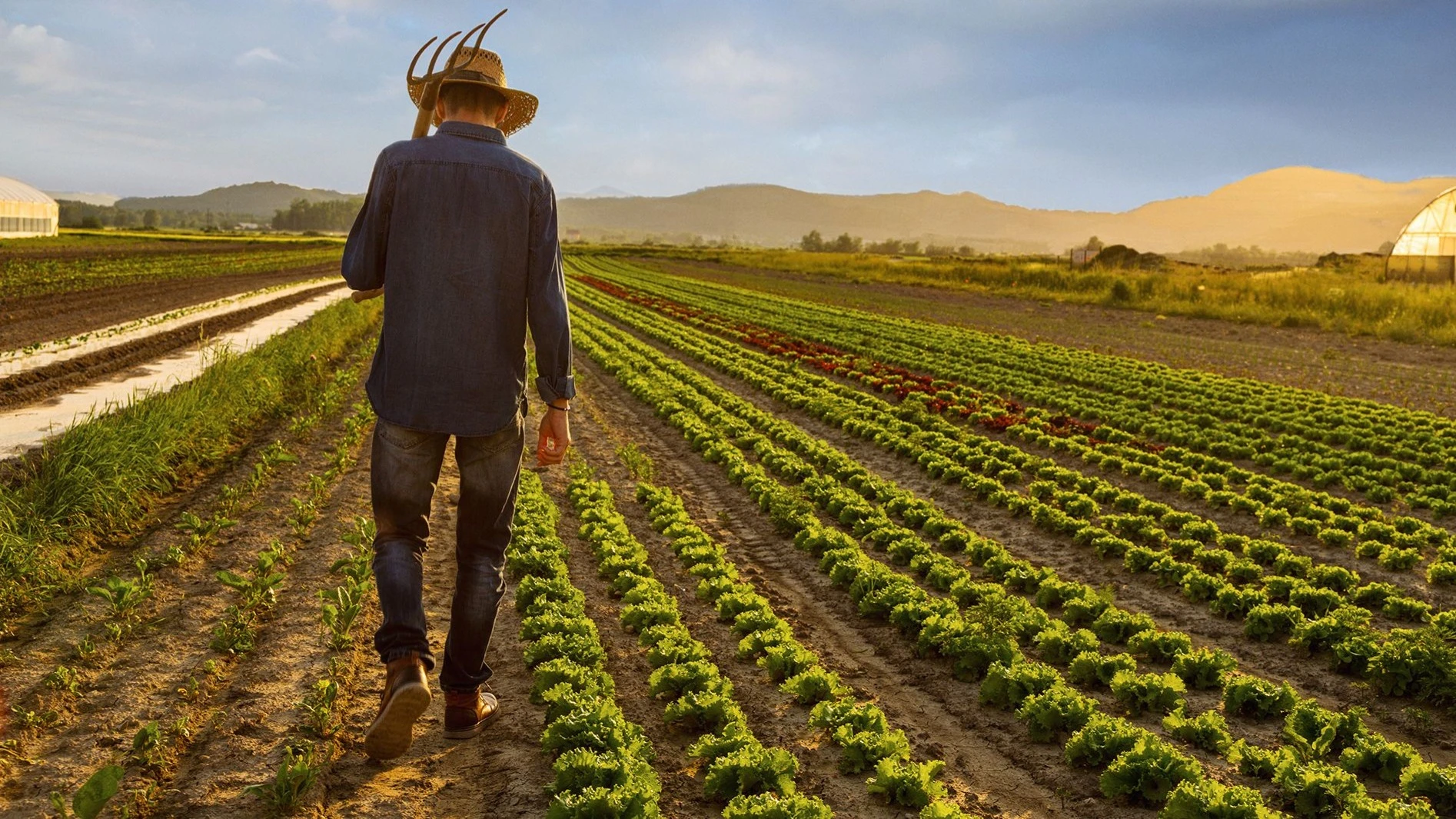 Urfalı üreticiye "ÇKS" uyarısı: 2026 destekleri tehlikeye girmesin