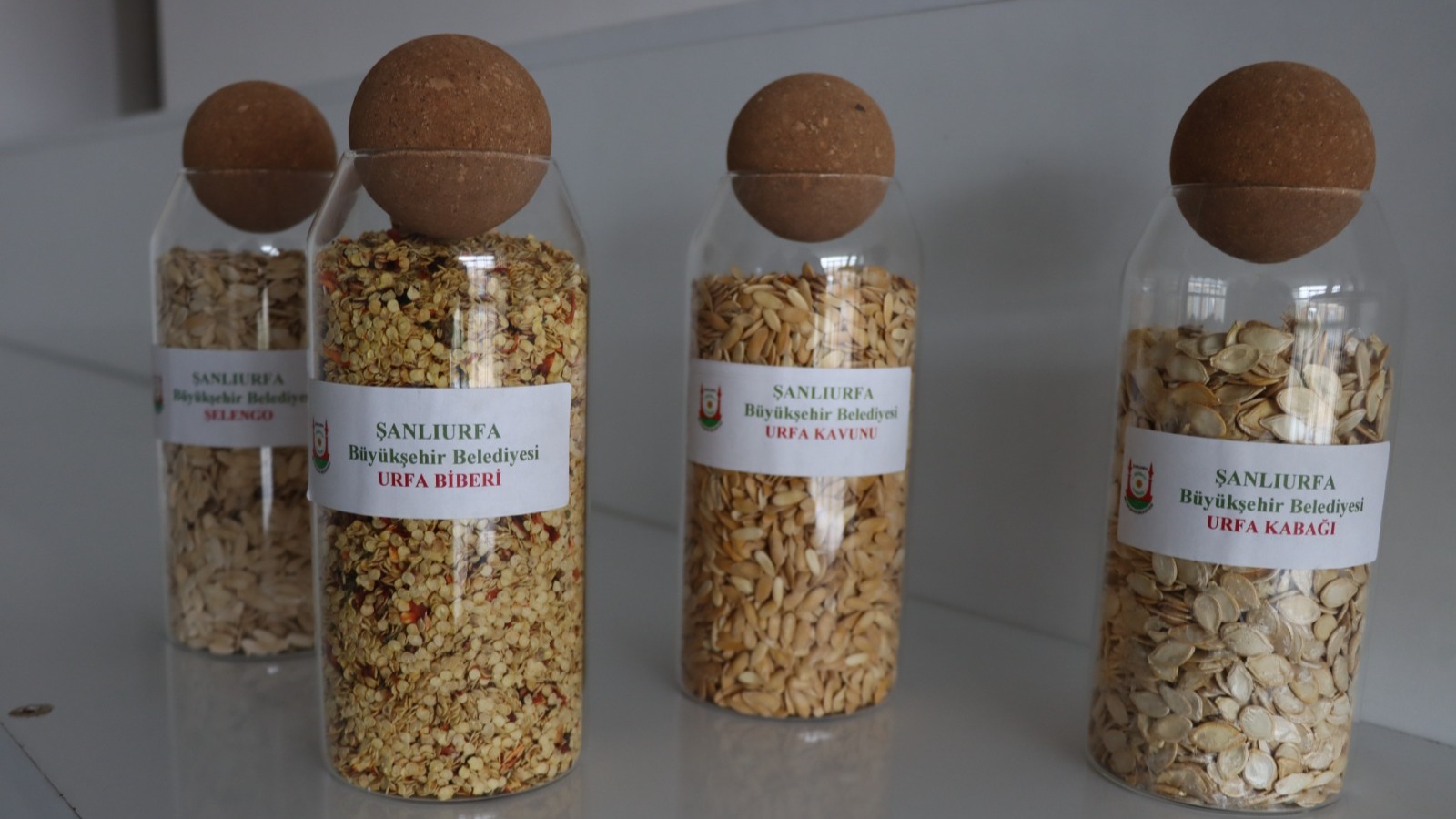 Şanlıurfa’da Ata Tohumları Çiftçilerle Buluşuyor!