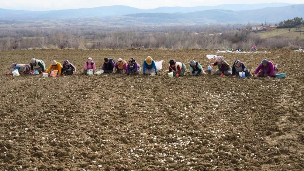 Bir Annenin fedakarlık dolu yolculuğu