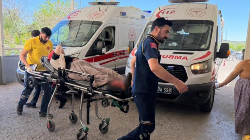 Siverek’te Yılanı Vurmak İsterken 5 Kişi Yaralandı