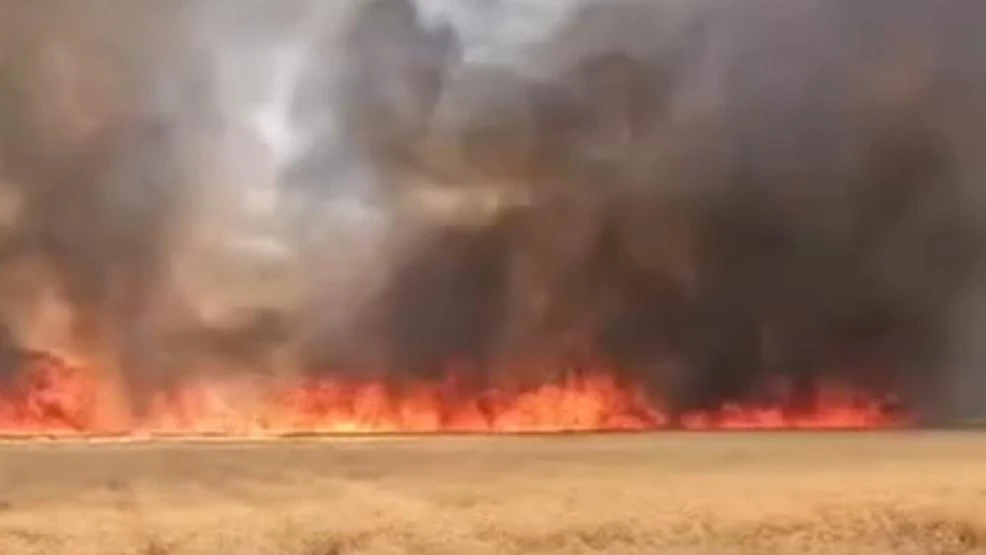 Harran’da 300 Dönümlük Buğday Tarlasında Yangın!
