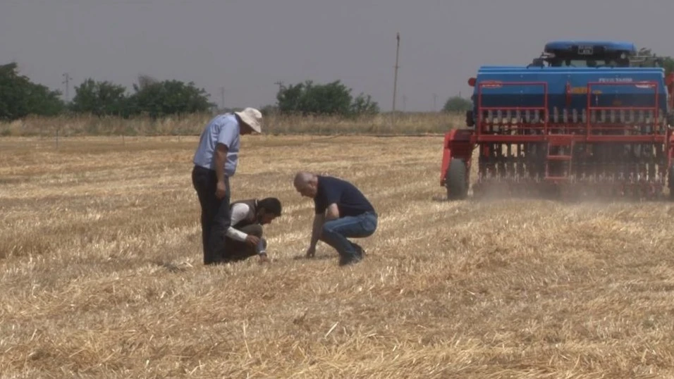 Şanlıurfa'da Anız Yangınlarına Çevreci Çözüm