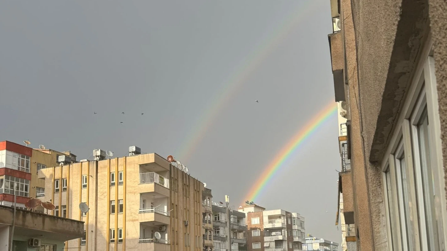 Urfa'da bayramda hafızalara kazınan görüntü!
