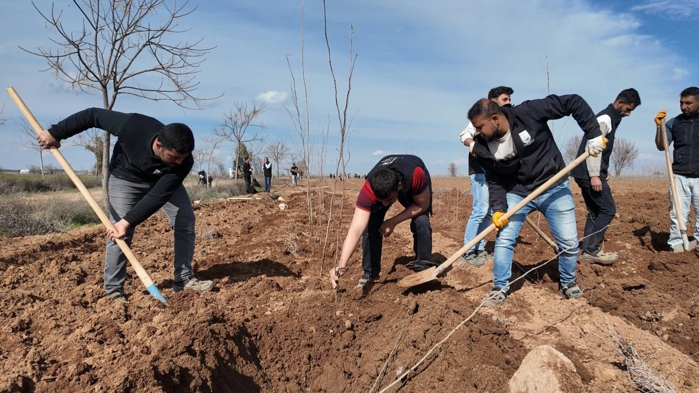 ŞANLIURFA BÜYÜKŞEHİR BELEDİYESİ’NDEN 20 BİN ÇINARLIK YEŞİL HAMLE