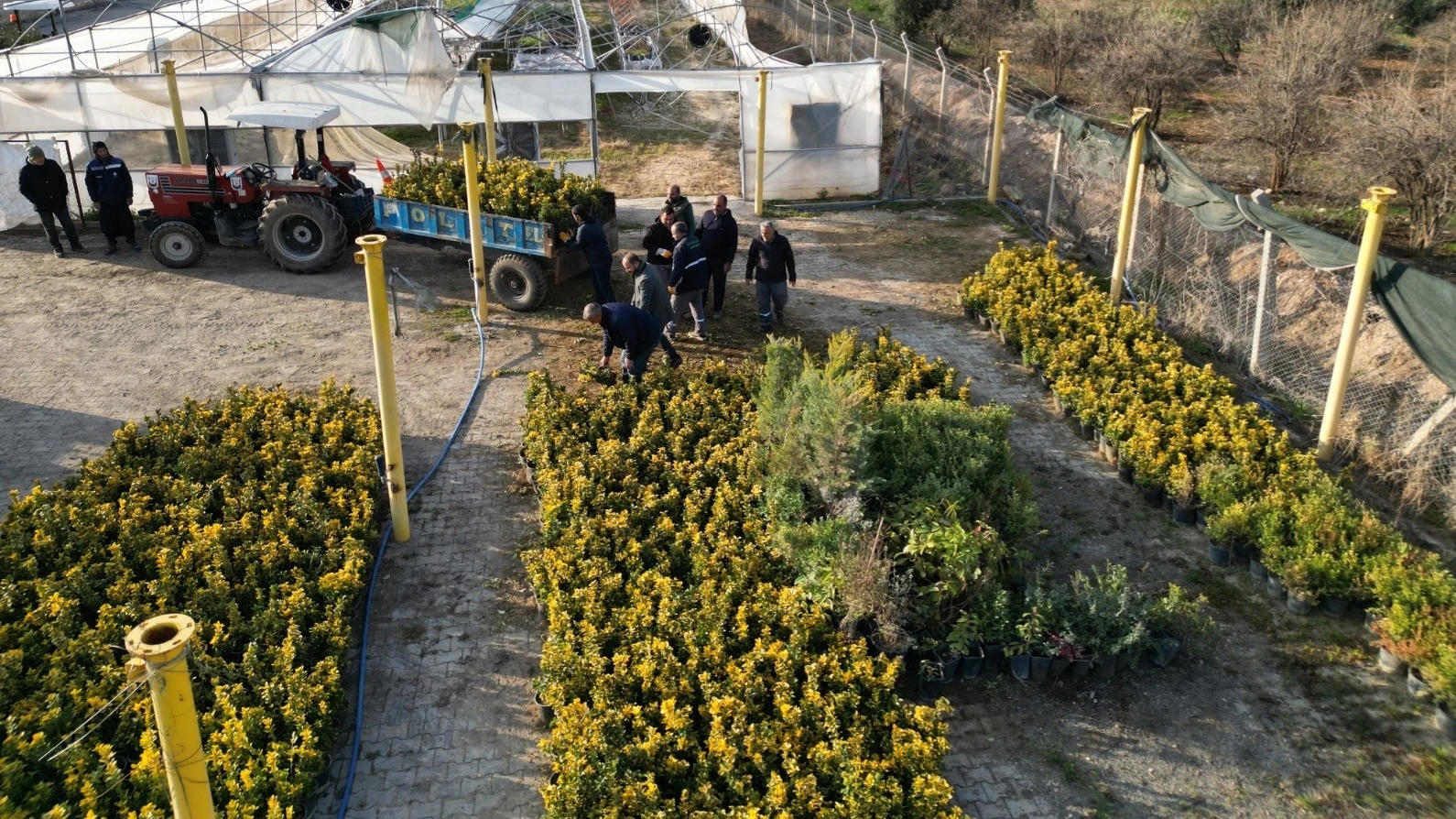 Büyükşehir, Ağaç Ve Bitki Dikimlerini Hızlandırdı