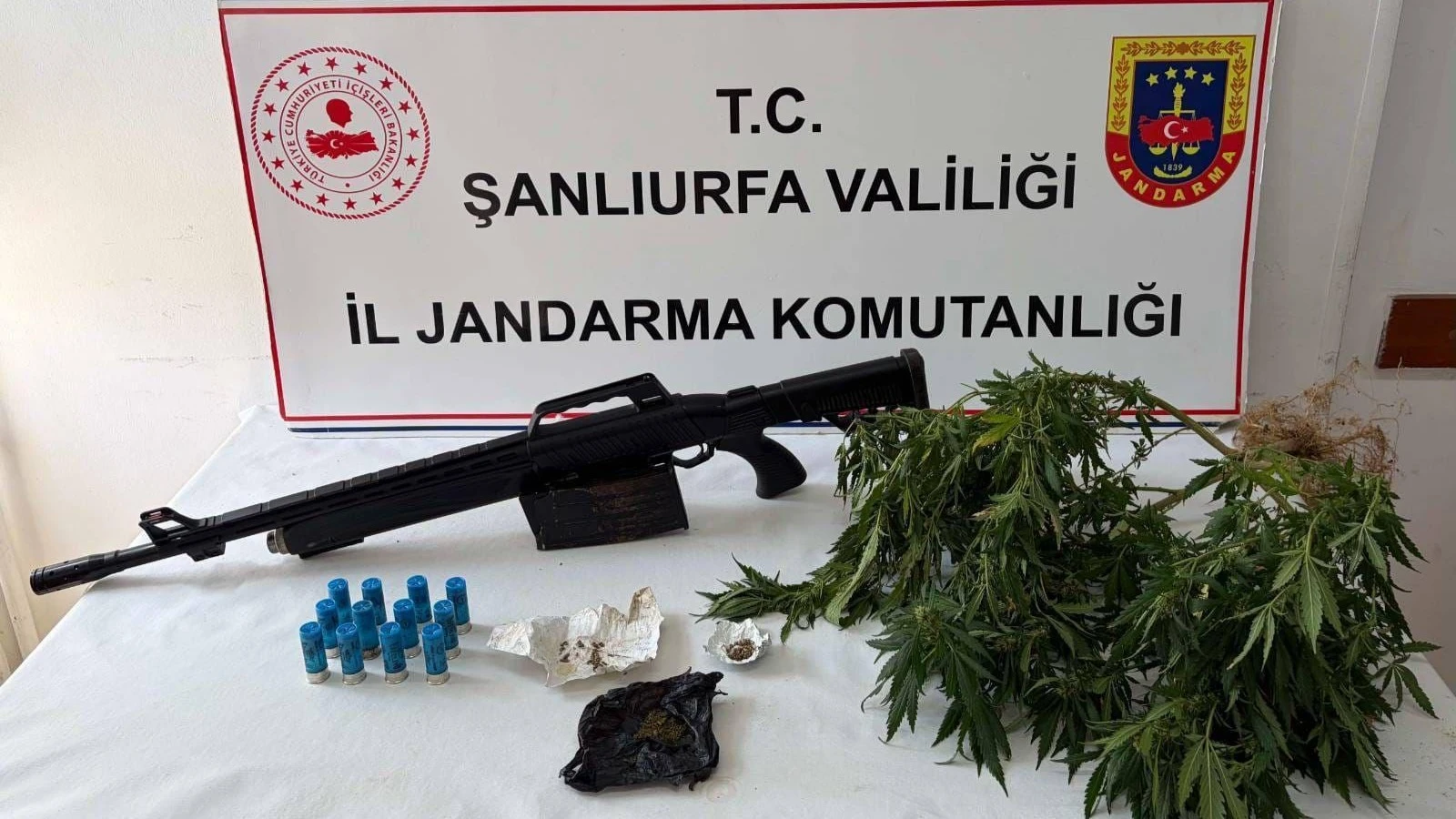 Jandarma Şanlıurfa’da düğmeye bastı! 3 ilçede operasyon