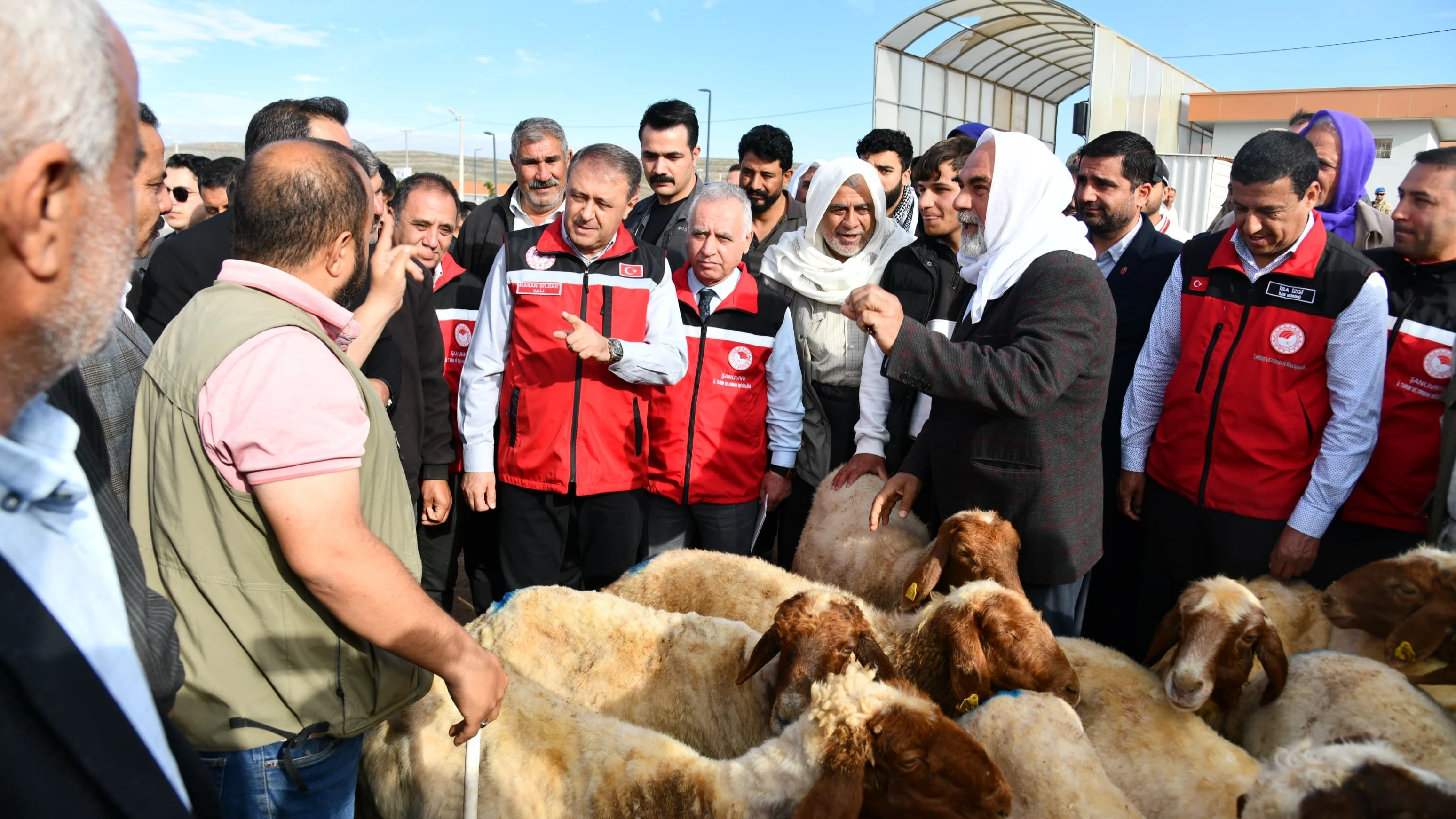 Vali Şıldak Canlı Hayvan Borsasını Ziyaret Etti