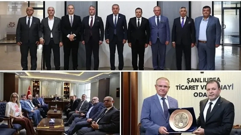 Romanya'dan Şanlıurfa'ya Ekonomik İş Birliği Ziyareti