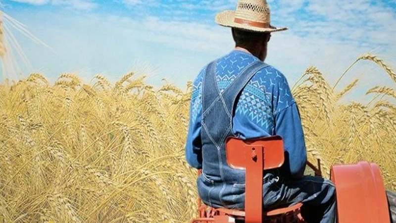 Şanlıurfalı Çiftçilere Destek Ödemesi Yarın Hesaplarda