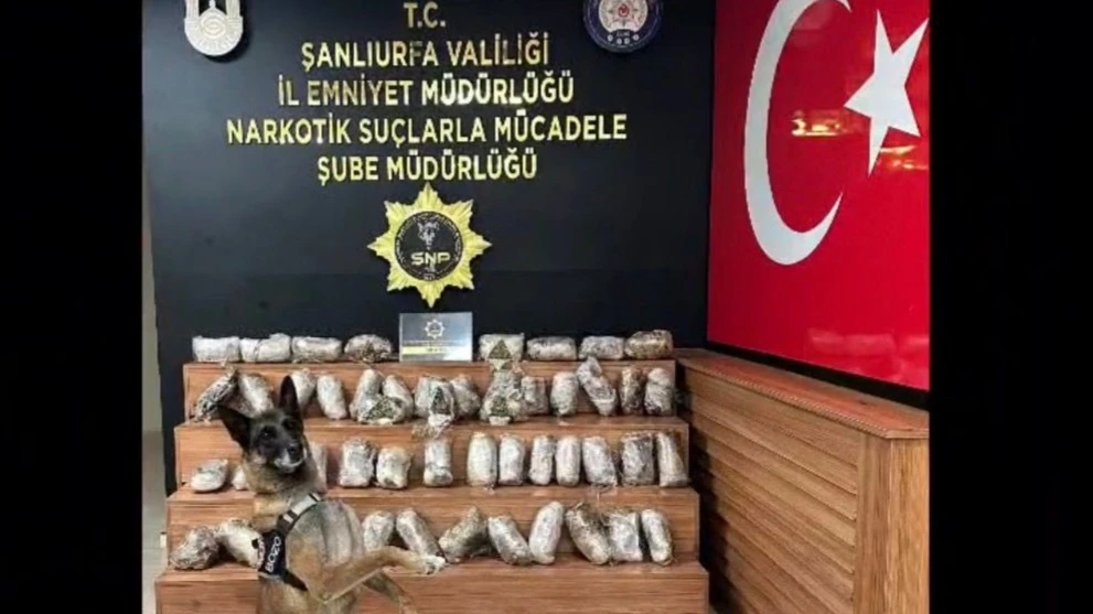 Şanlıurfa’da 17 Kilo Skunk Ele Geçirildi