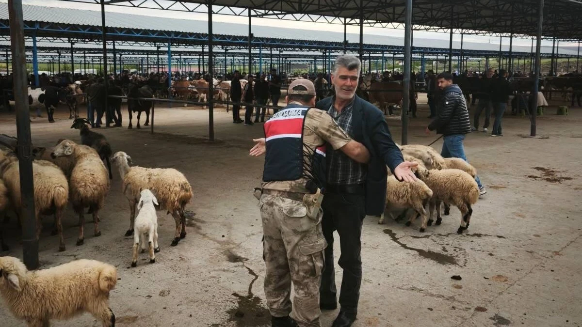 Şanlıurfa’da Kurban Pazarlarında Huzur İçin Yoğun Mesai