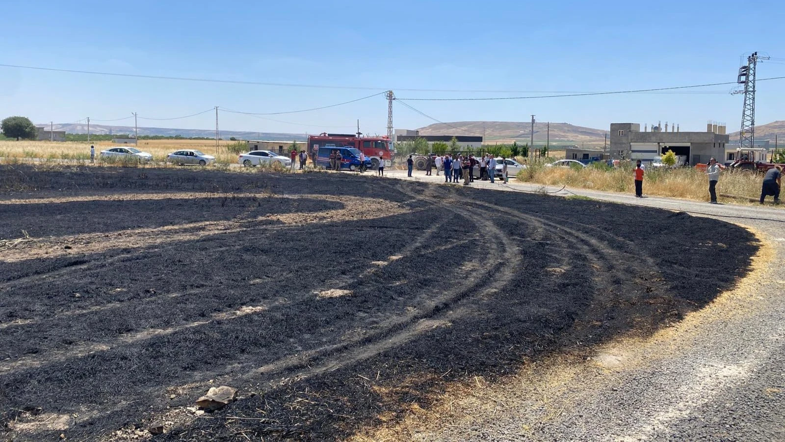 Şanlıurfa’da 300 Dönümlük Arpa Tarlası Küle Döndü