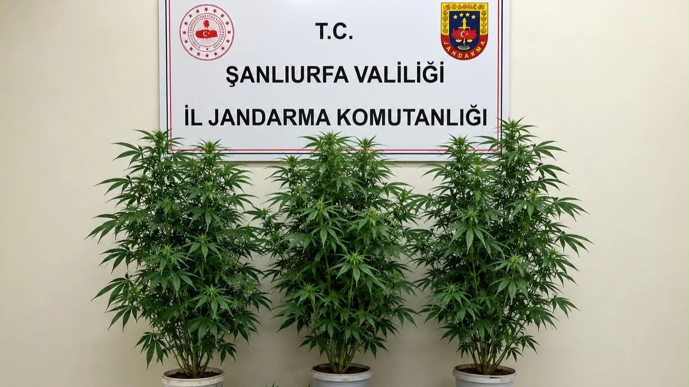 Şanlıurfa’da uyuşturucuya geçit yok: Bozova’da operasyon