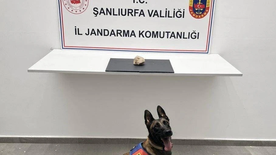 Şanlıurfa Jandarmasından dev narkotik operasyonu!